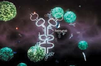 9 news 4 steroid